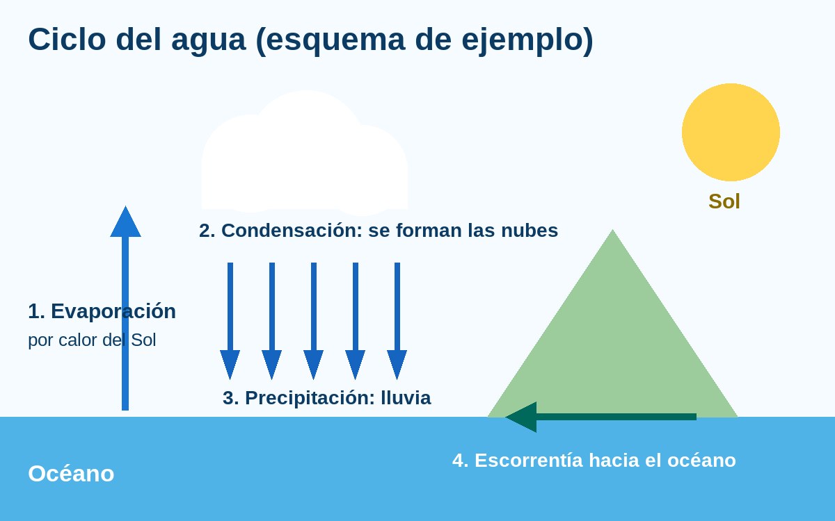 Esquema del ciclo del agua con cuatro etapas numeradas: evaporación, condensación, precipitación y escorrentía hacia el océano